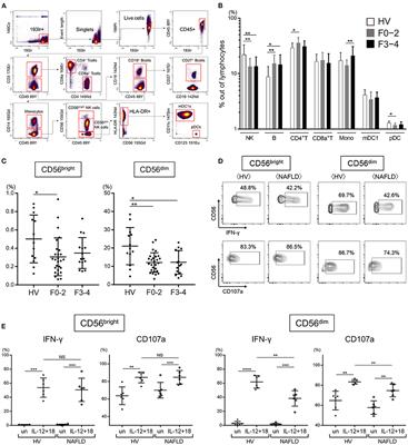 Increased Frequency of Dysfunctional Siglec-7−CD57+PD-1+ Natural Killer Cells in Patients With Non-alcoholic Fatty Liver Disease